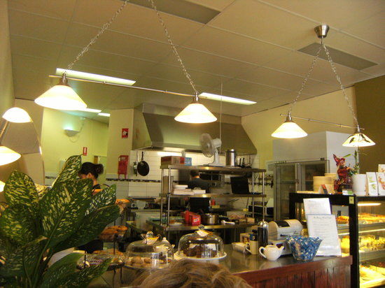 The Dizzy Witch Cafe